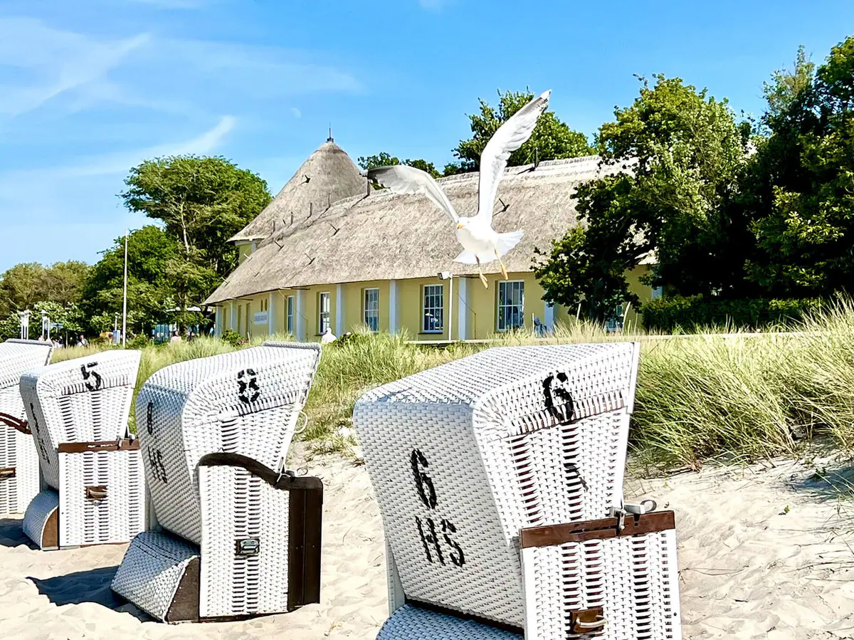 Strandkörbe in den Dünen mit Möwe und Reetdach