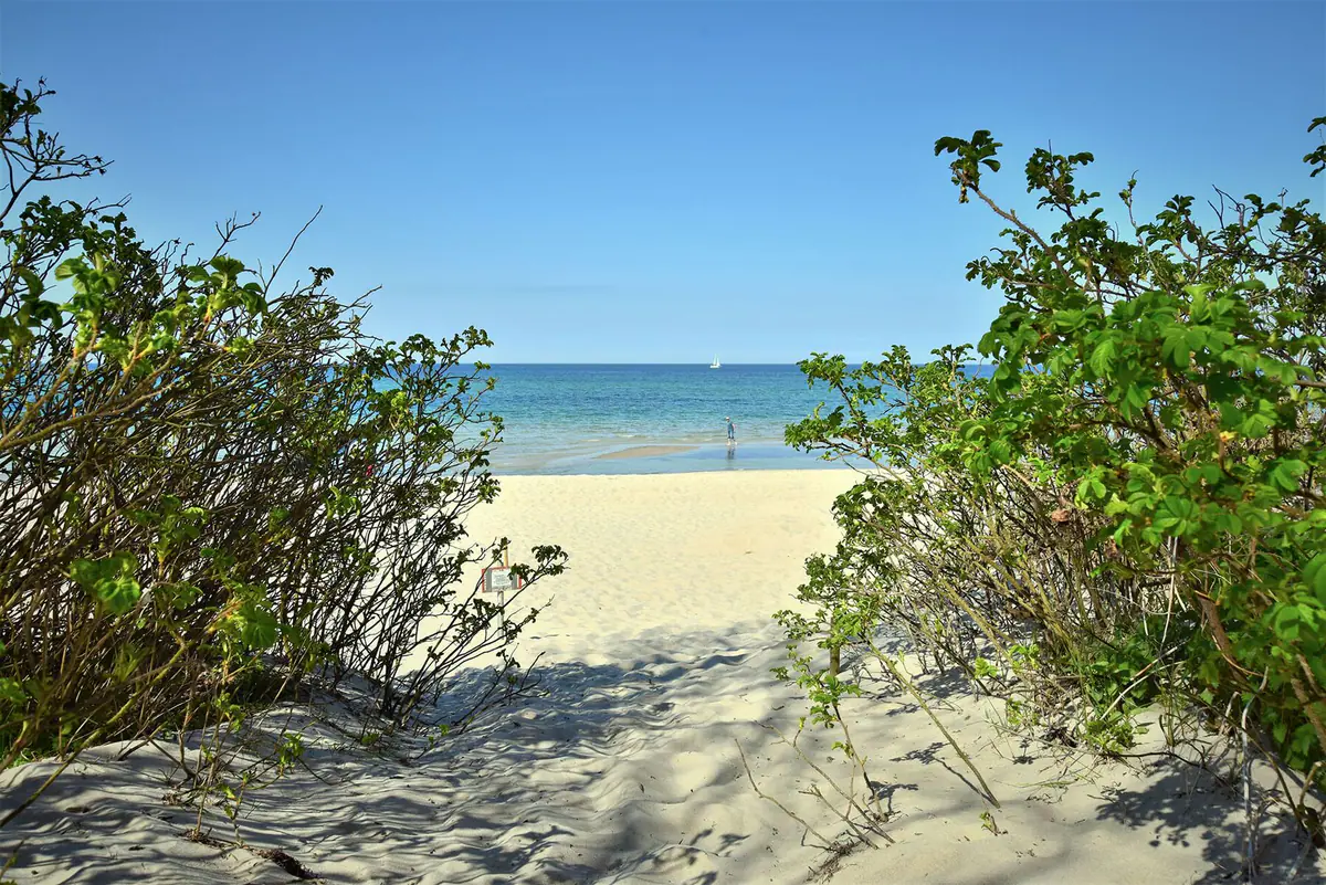 Strandzugang durch die Dünen zur Ostsee